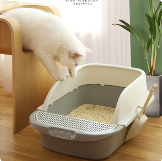 Creating a Cat-Friendly Haven: Litter Boxes, Pet Toys, Cat Scratch Posts, and Pet Beds