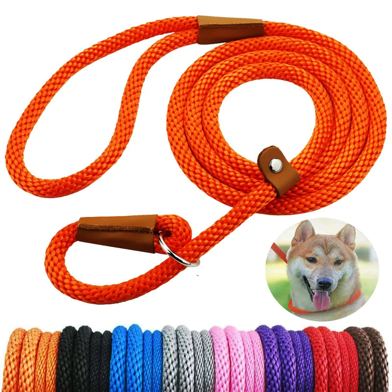 Adjustable Loop, Durable Nylon Slip Rope Dog Leash/Collar