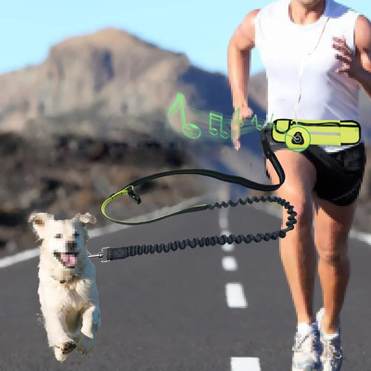 Hands Free Pet Dog Leash with Waist Bag