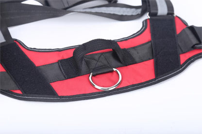 Reflective, Dog Harness with Name Patch