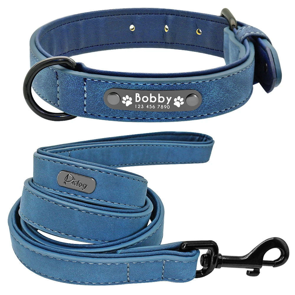 Padded Leather Collar and Walking Leash with Dog's Name