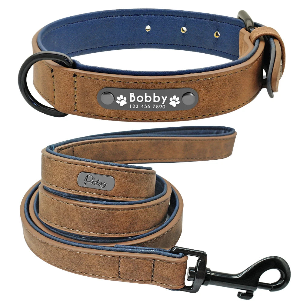 Padded Leather Collar and Walking Leash with Dog's Name