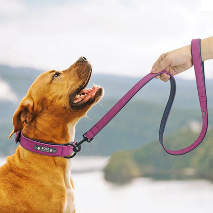 Padded Leather Collar and Walking Leash with Dog's Name