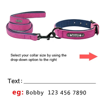 Padded Leather Collar and Walking Leash with Dog's Name