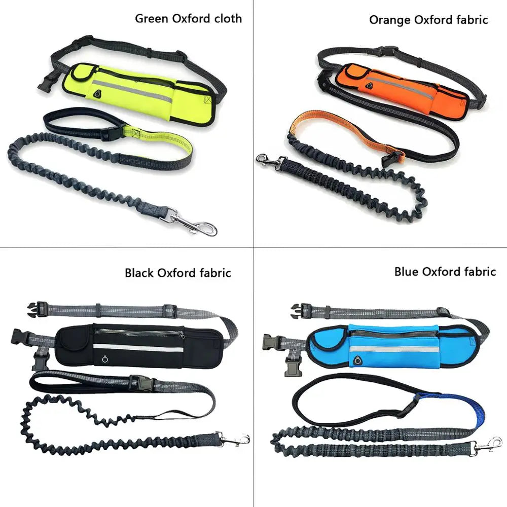 Hands Free Pet Dog Leash with Waist Bag