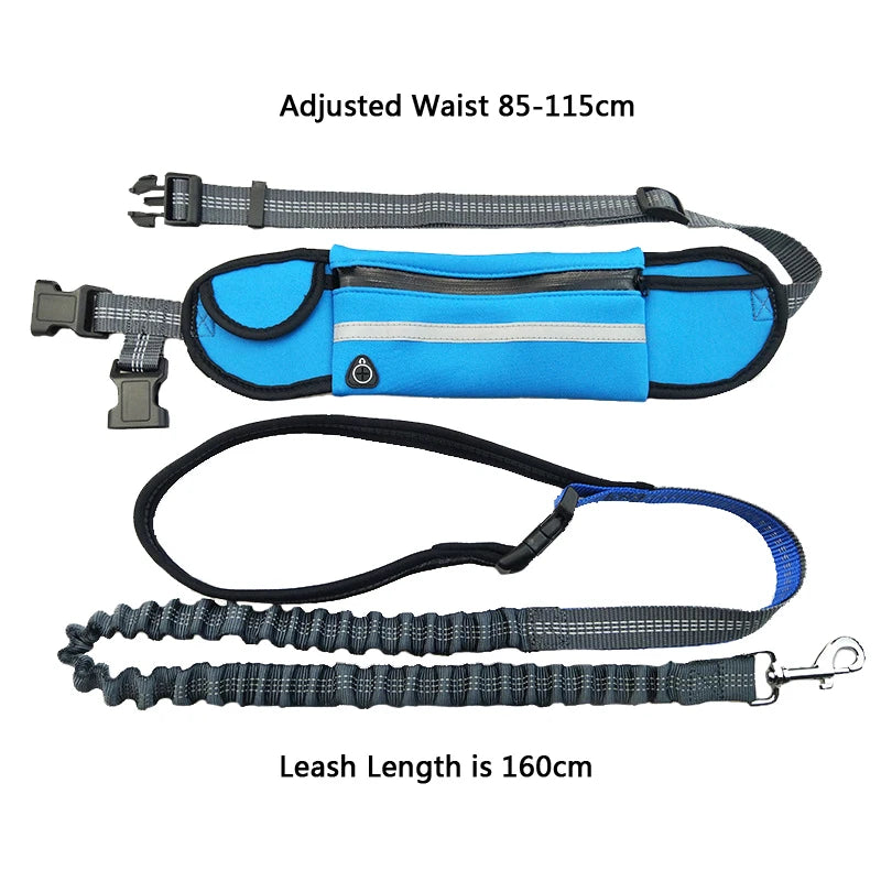 Hands Free Pet Dog Leash with Waist Bag