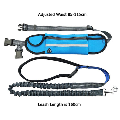 Hands Free Pet Dog Leash with Waist Bag