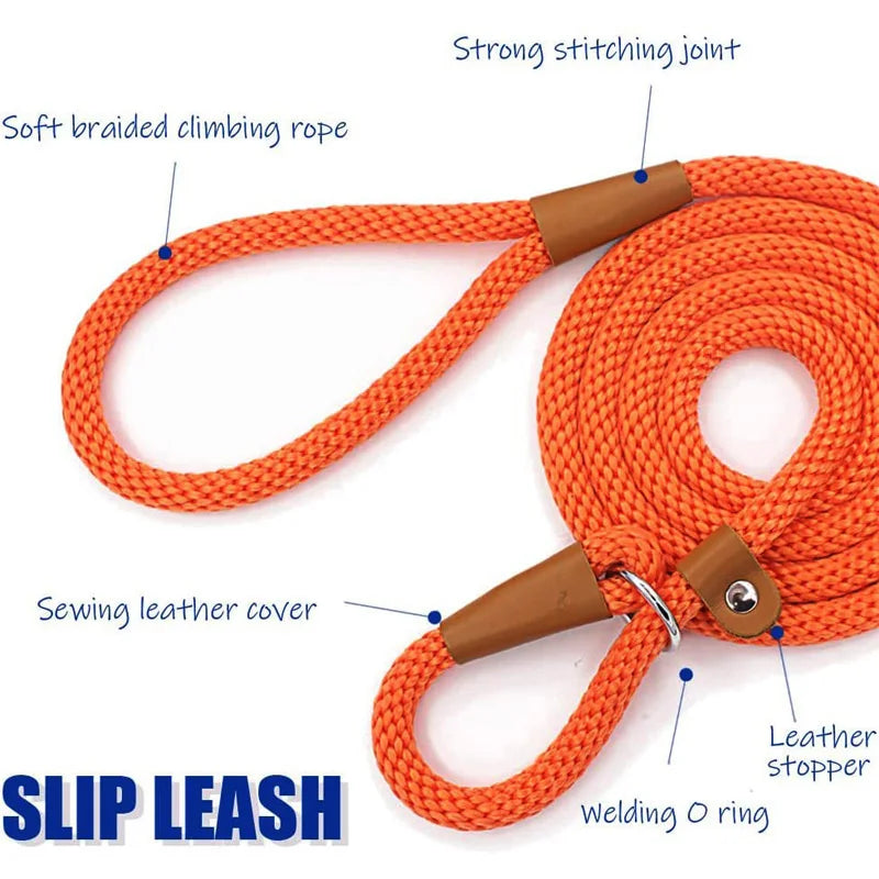 Adjustable Loop, Durable Nylon Slip Rope Dog Leash/Collar