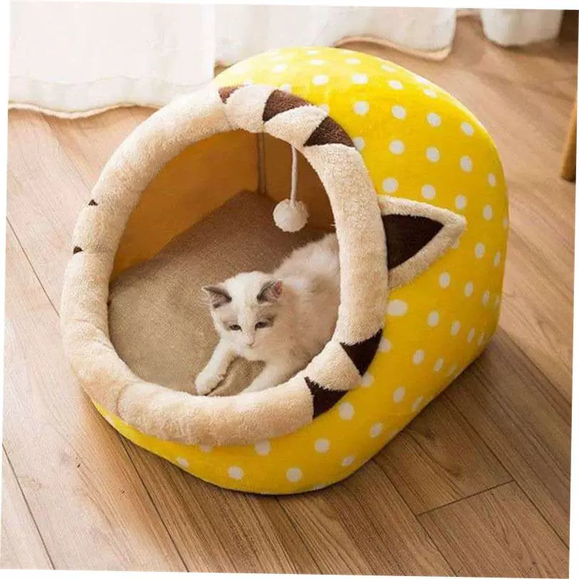 Soft, Warm, Dog Cat Home