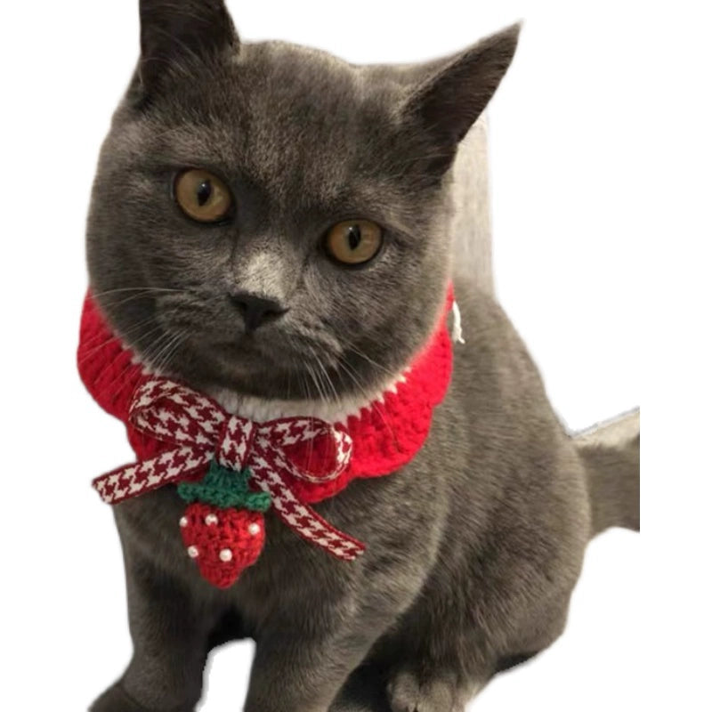 Cat Knitted Scarf / Collar