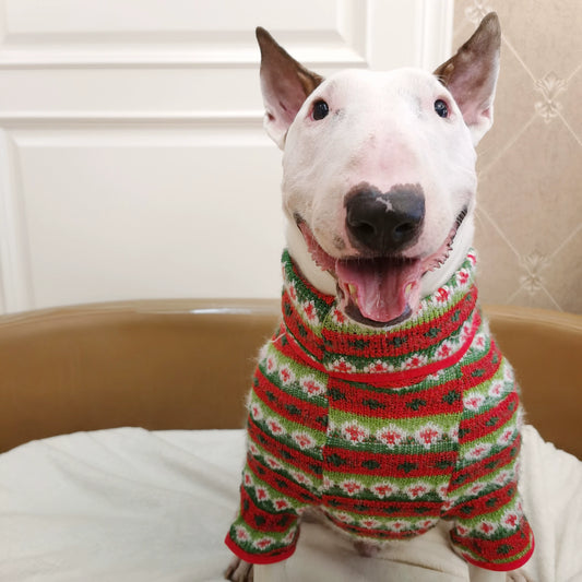 Two-Color Knitted Sweater for Large Dogs