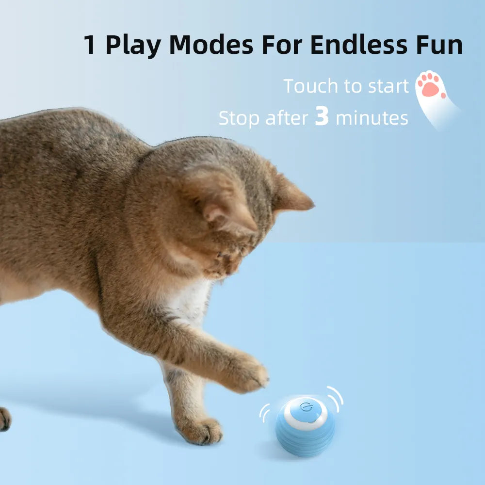 Electronic Interactive Cat/Dog Toy, Indoor Automatic Rolling Magic Ball