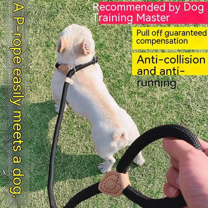 Dog Leash Nylon, Adjustable, Durable Rope Belt