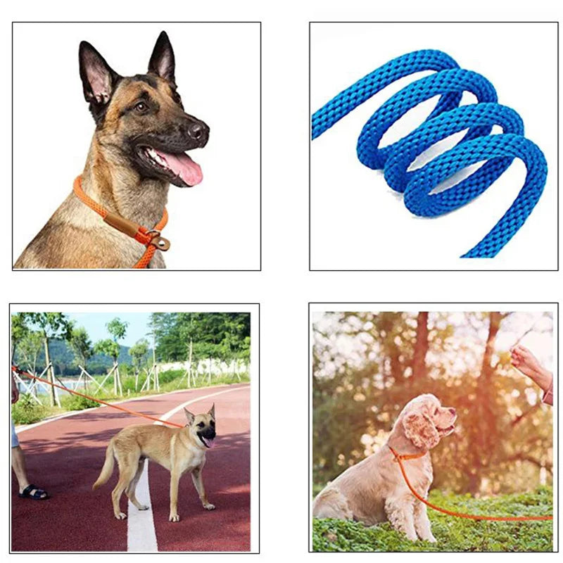 Adjustable Loop, Durable Nylon Slip Rope Dog Leash/Collar