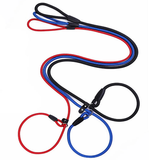 Dog Training Slip Leash for Puppy Obedience