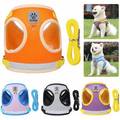 Dog Harness and Leash Set