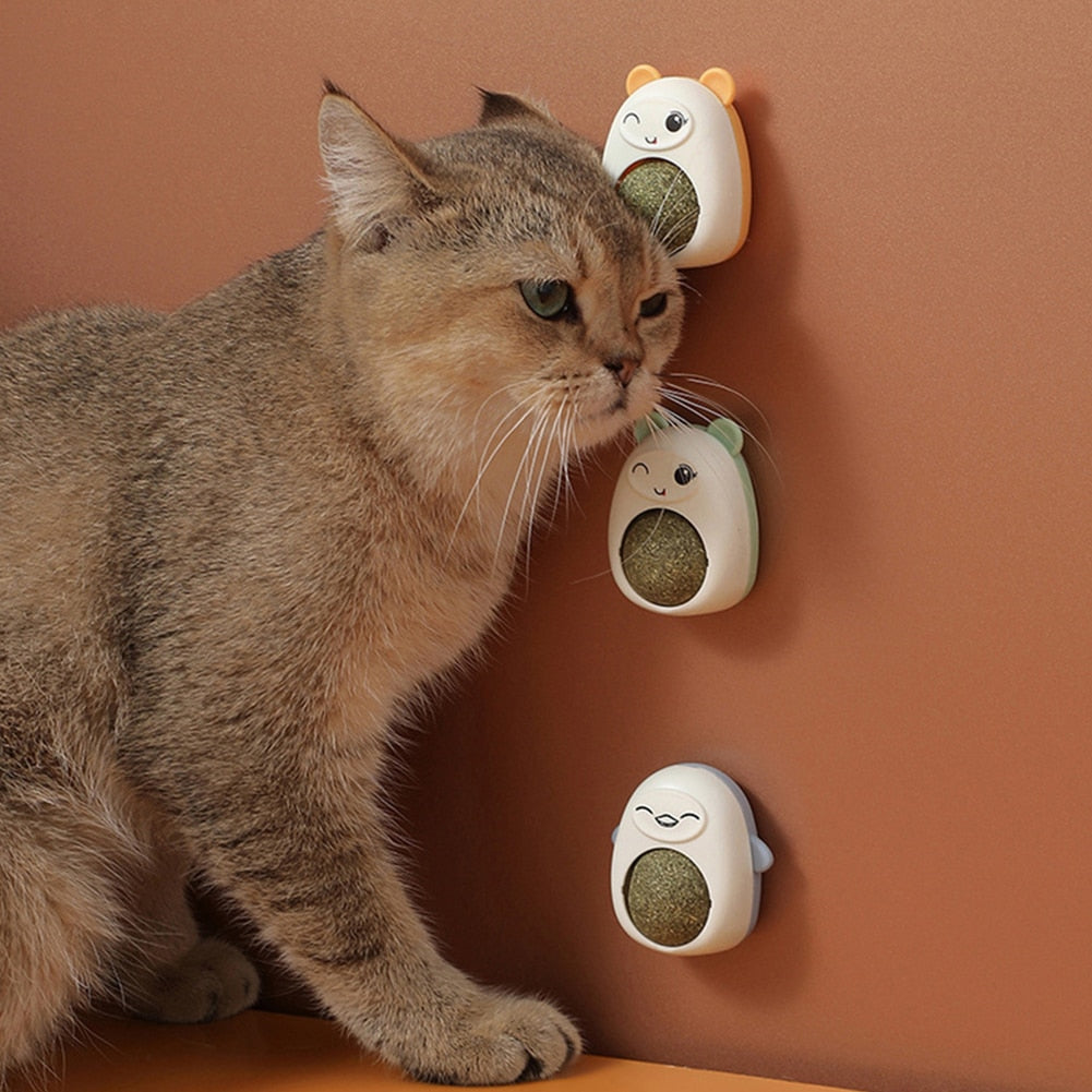 Catnip Wall Ball, Rotatable Toy, Kitten Teeth Cleaning