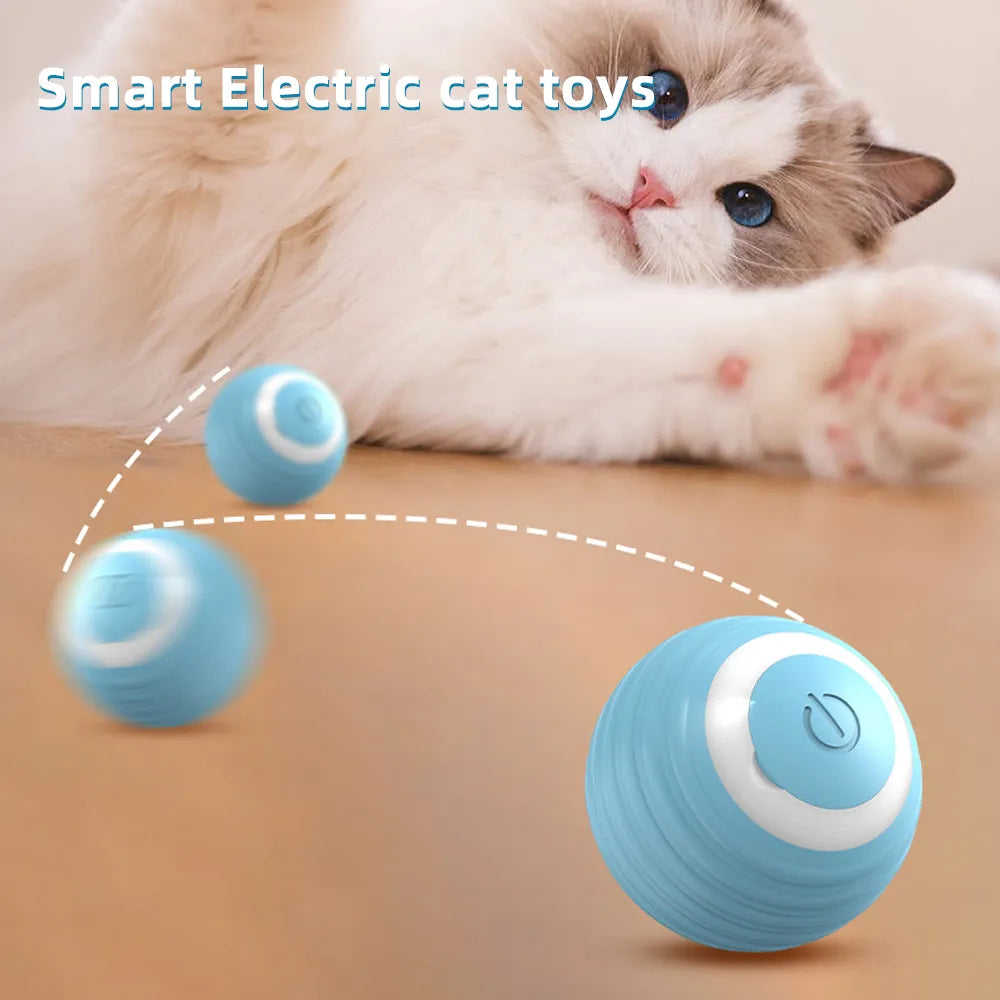 Electronic Interactive Cat/Dog Toy, Indoor Automatic Rolling Magic Ball