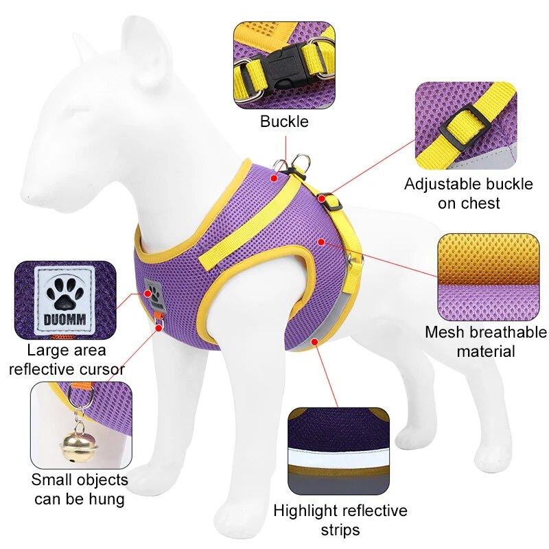 Dog Harness and Leash Set