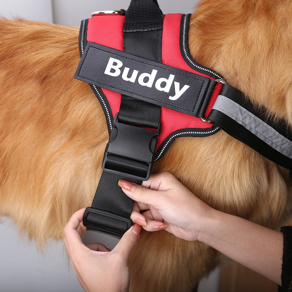 Reflective, Dog Harness with Name Patch