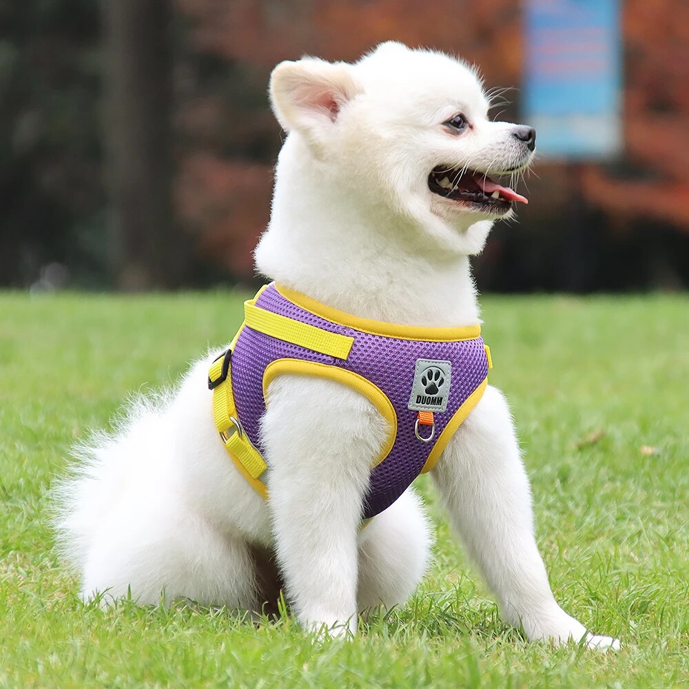 Dog Harness and Leash Set