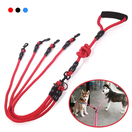 Dog Walker's Leash