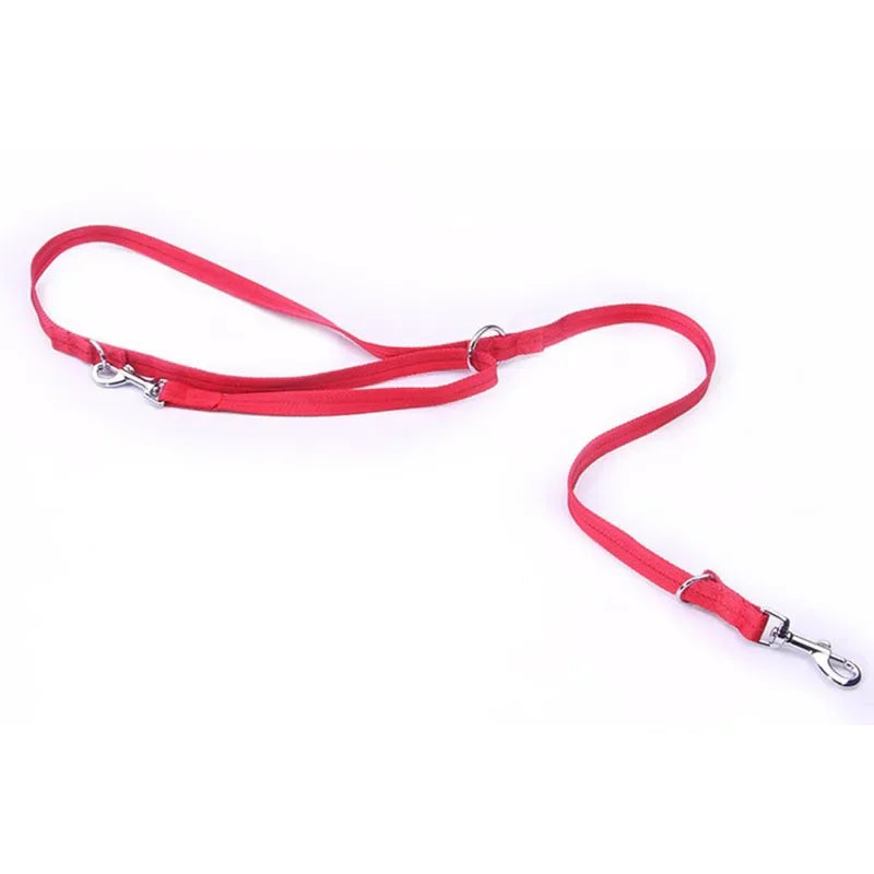 Twin Lead  Nylon Walking Leash for two pets