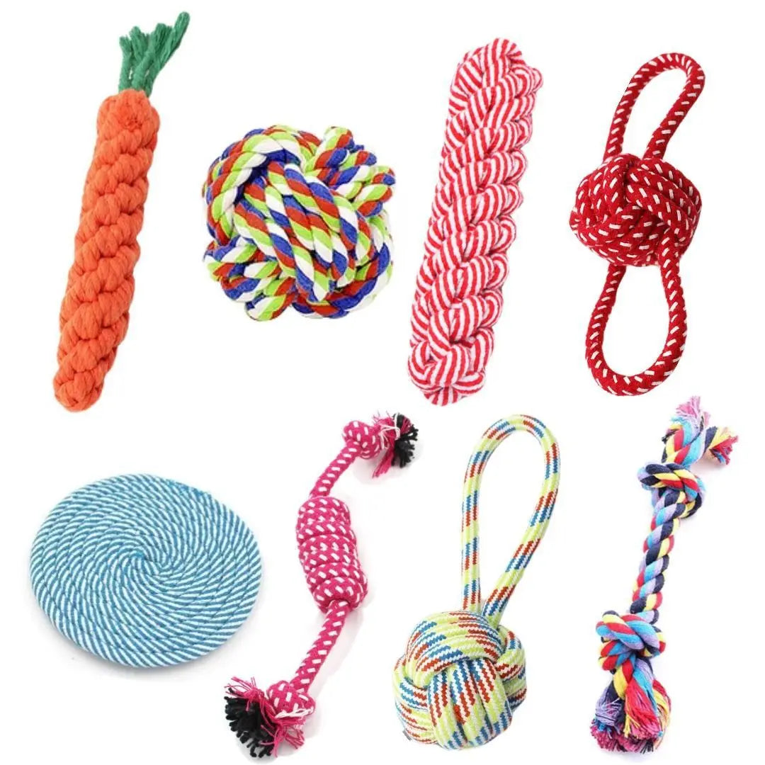 Puppy Cleaning Teeth, Durable Braided Bite Resistant Chew Toy