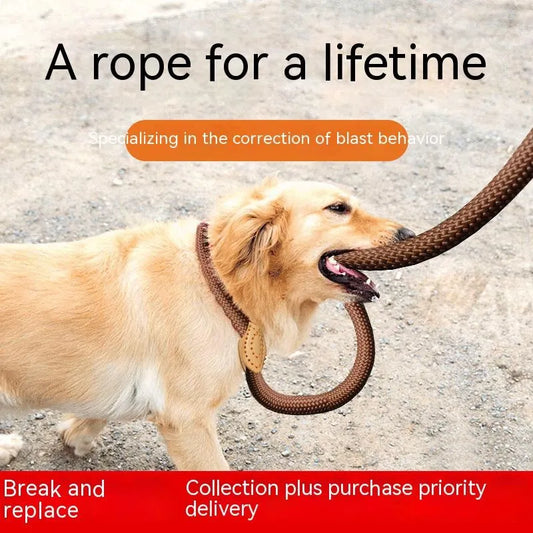 Dog Leash Nylon, Adjustable, Durable Rope Belt