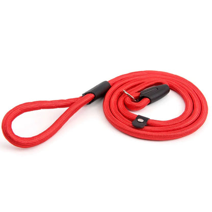 Dog Training Slip Leash for Puppy Obedience