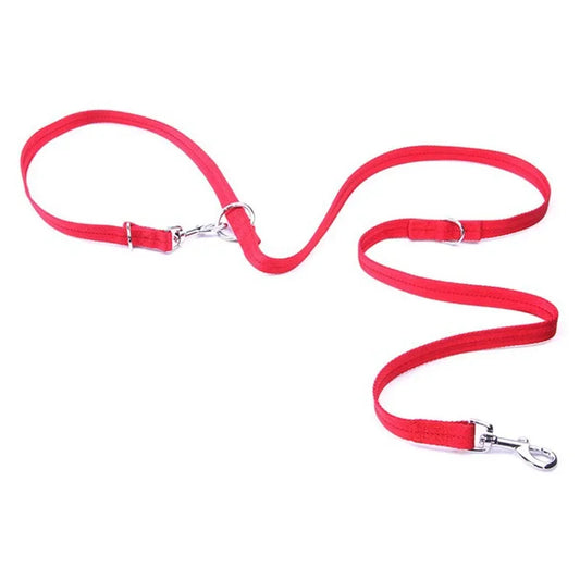 Twin Lead  Nylon Walking Leash for two pets