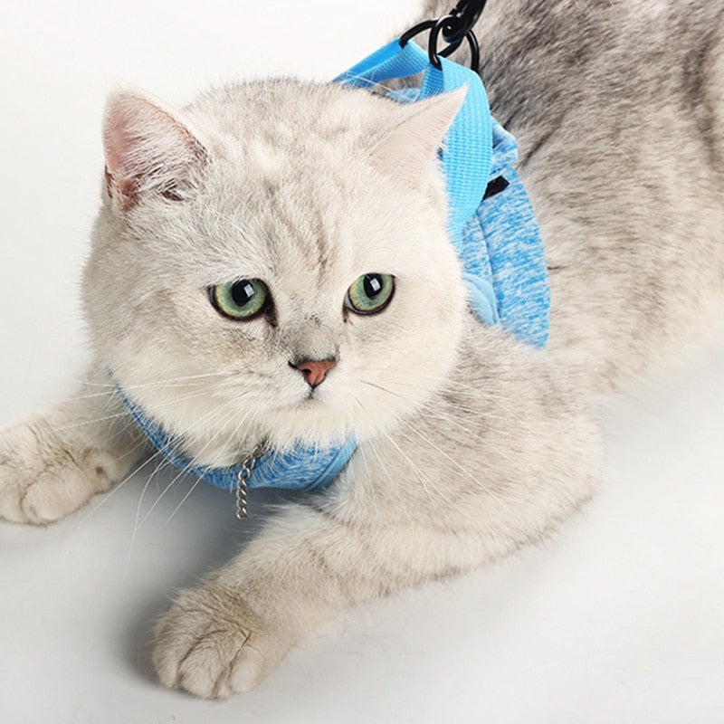 Cat Harness and Leash