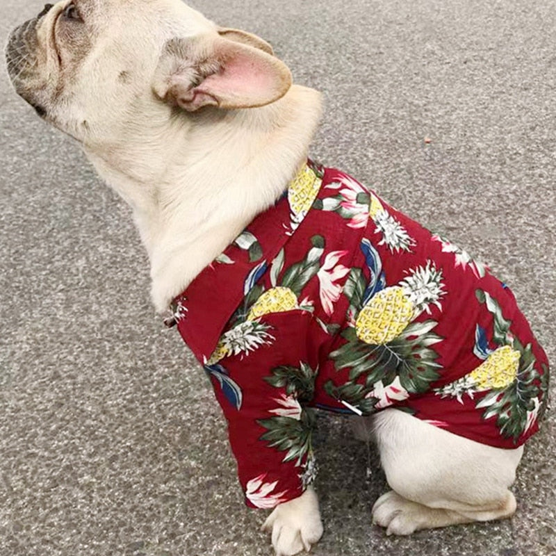 Dog Shirts, Hawaiian