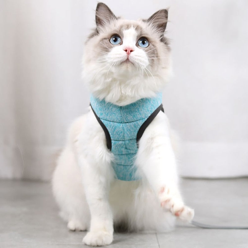 Cat Harness and Leash