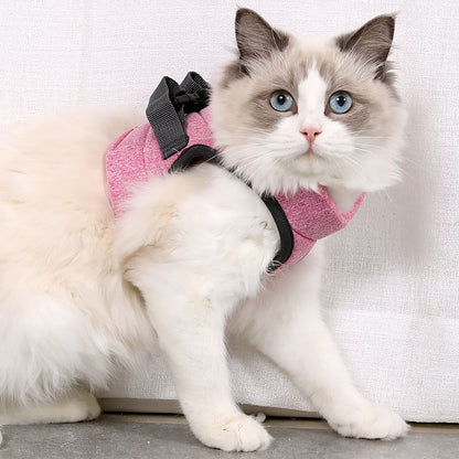 Cat Harness and Leash