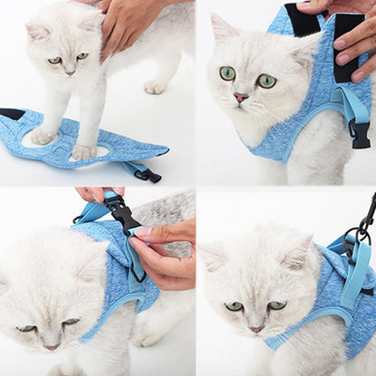 Cat Harness and Leash