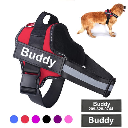 Reflective, Dog Harness with Name Patch