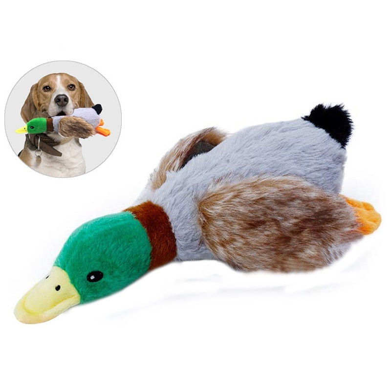 Fun Pet Toys