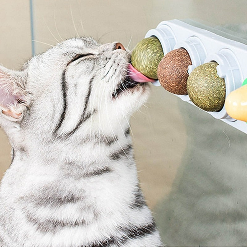 Cat Toy, Catnip Balls, Teeth cleaning