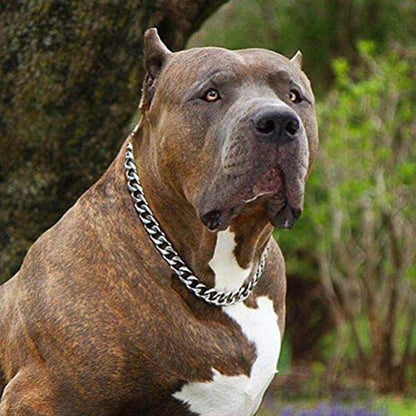 Heavy Duty Large Dogs Chain Necklace