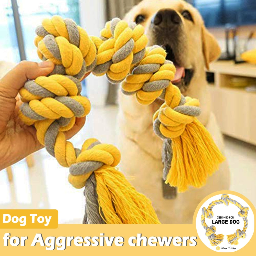 Big Dog Toys for Large  Aggressive Chewers