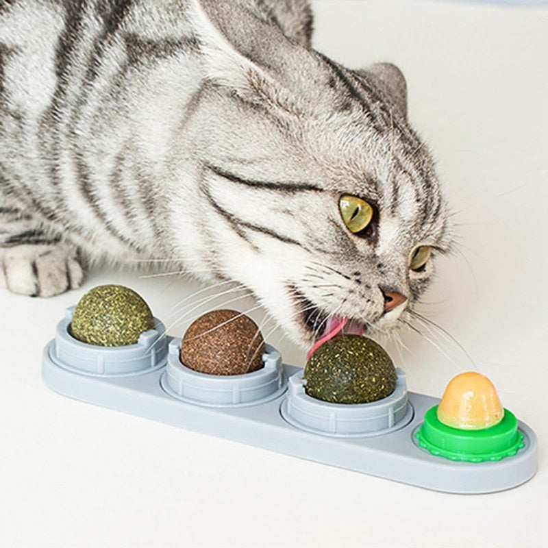 Cat Toy, Catnip Balls, Teeth cleaning