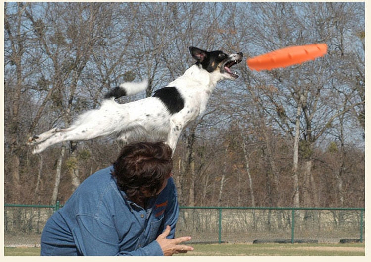 Dog Toy, Flying Disc, Interactive