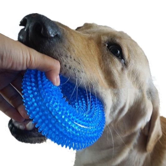 Squeak Chew Pet Toys For Training