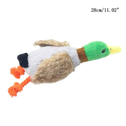 Fun Pet Toys