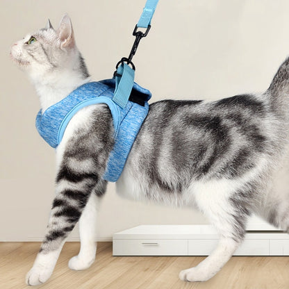 Cat Harness and Leash