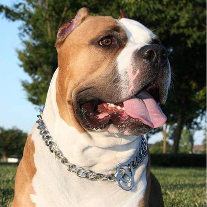 Heavy Duty Large Dogs Chain Necklace