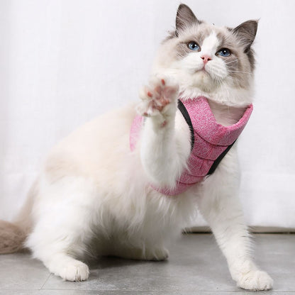 Cat Harness and Leash