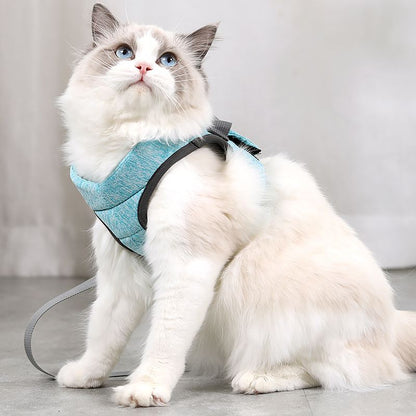 Cat Harness and Leash