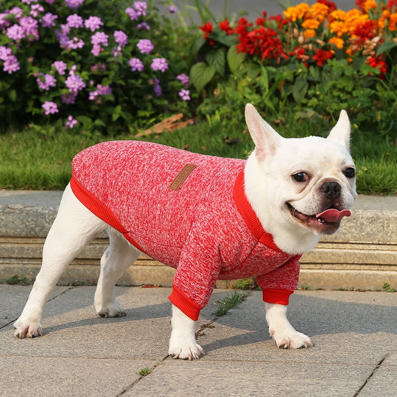 Warm, Polyester Sweatshirt for Dogs